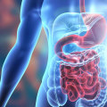 A Comprehensive Overview of Gastrointestinal Issues