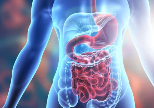 A Comprehensive Overview of Gastrointestinal Issues